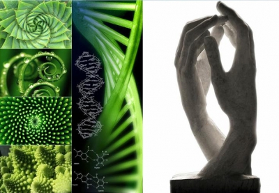 Agora Tower Vincent Callebaut