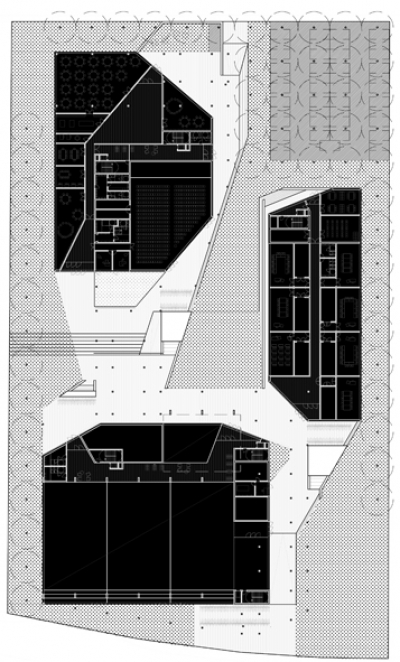 Allschwill Public School