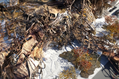 Asemic Forest Shahira Hammad