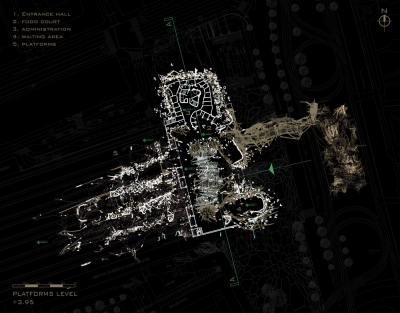 Asemic Forest Shahira Hammad