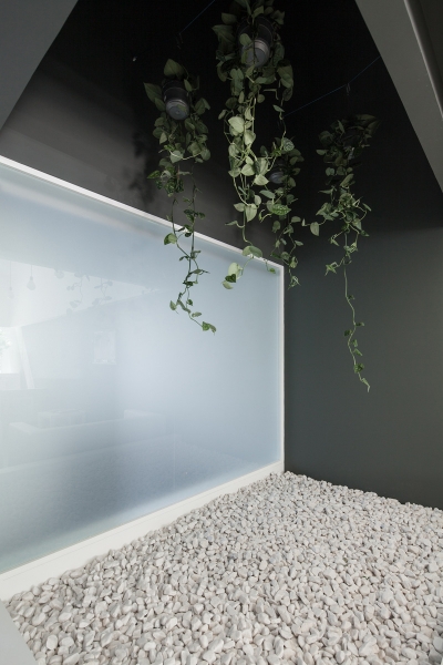 Dental Clinic Paulo Merlini