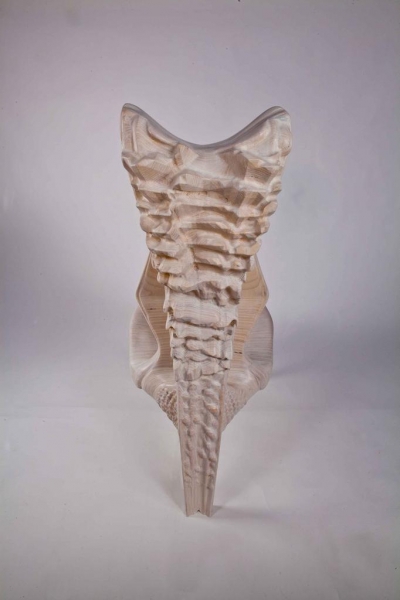 Exocarp Chair Guillermo Bernal