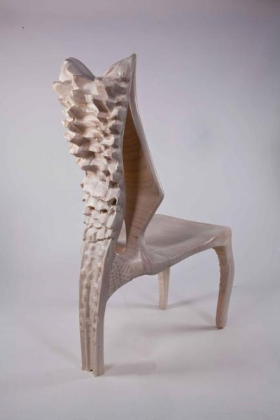 Exocarp Chair Guillermo Bernal