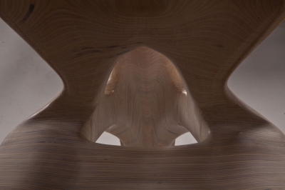 Exocarp Chair Guillermo Bernal