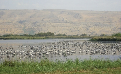 Hula Visitors' Centre