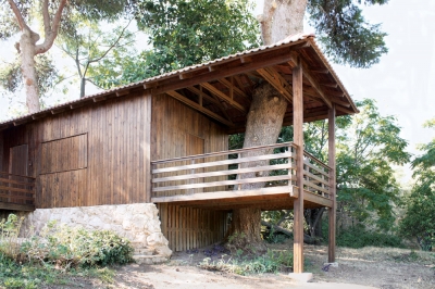 Two-Tree House