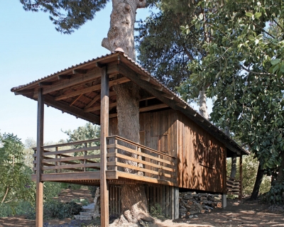 Two-Tree House