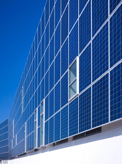 GreenDot Brooks Scarpa