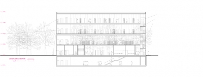 Ground Mirror David Tajchman