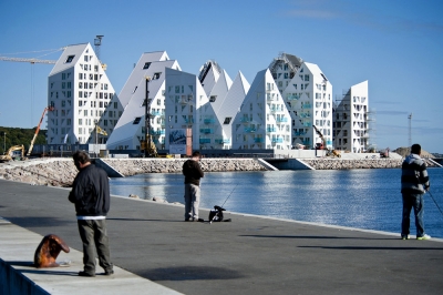 Isbjerget seARCH CEBRA JDS
