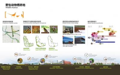 National Creative Cluster Sasaki