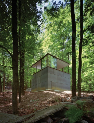 Scholar Library Peter Gluck