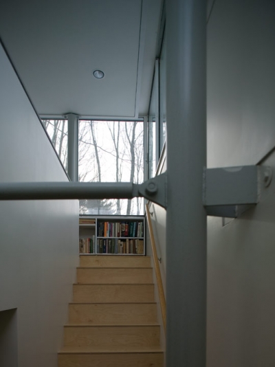 Scholar Library Peter Gluck