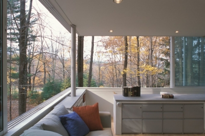 Scholar Library Peter Gluck