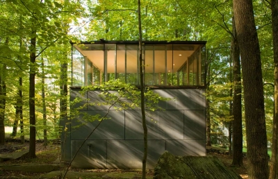 Scholar Library Peter Gluck