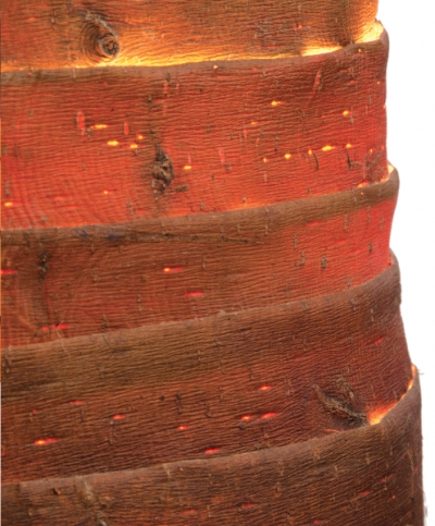 Stripped Branch Lamp