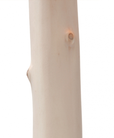 Stripped Branch Lamp