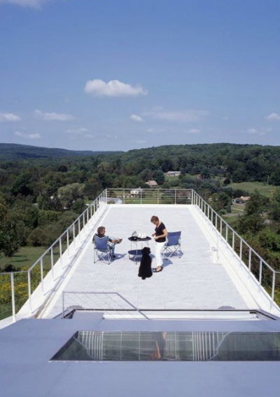 Tanglewood House Schwartz Silver