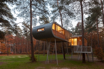 Tree House Baumraum