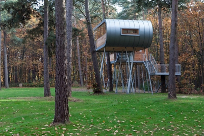 Tree House Baumraum