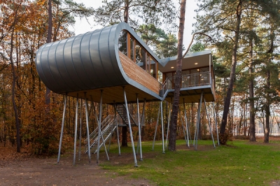 Tree House Baumraum