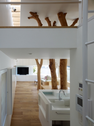 Tree House Hironaka Ogawa