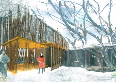 Wilderness Triple O Studio