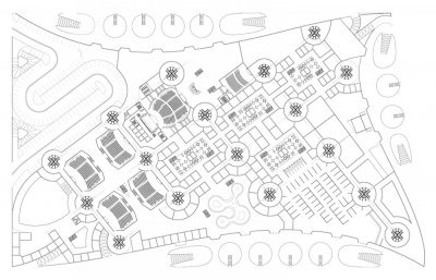 World Chlorophyl IAMZ