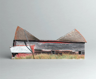 Shoots Broken Houses Ofra Lapid