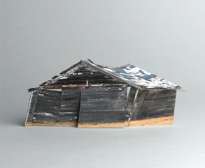 Shoots Broken Houses Ofra Lapid