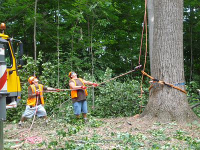 Chop Stick Visiondivision