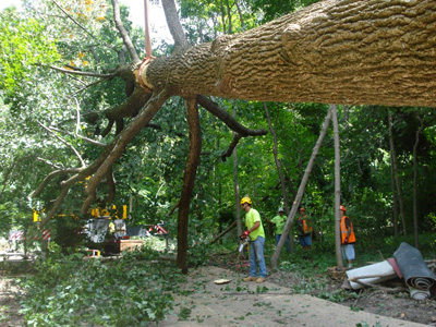 Chop Stick Visiondivision