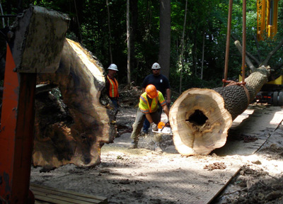 Chop Stick Visiondivision