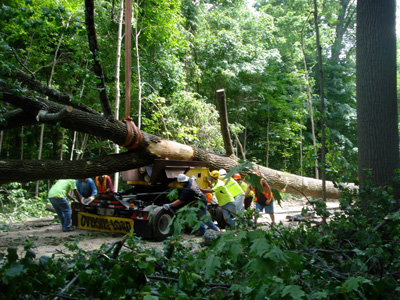 Chop Stick Visiondivision