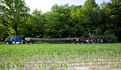 Chop Stick Visiondivision