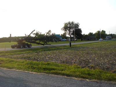 Chop Stick Visiondivision