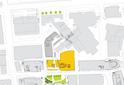 TsoiKobus & Associates