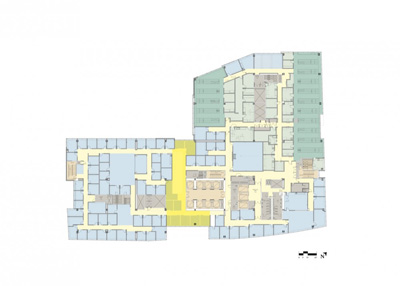 TsoiKobus & Associates