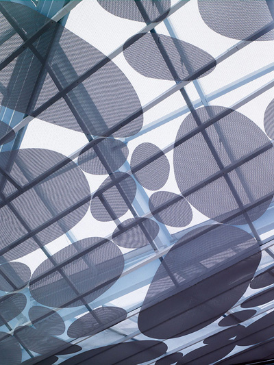 Contemporary Art Museum