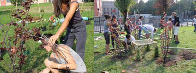 Patient Gardener