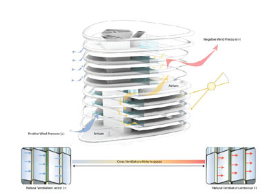 Garden Ribbons ShaGa Studio