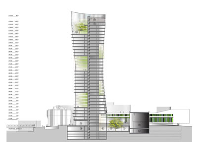 Garden Ribbons ShaGa Studio