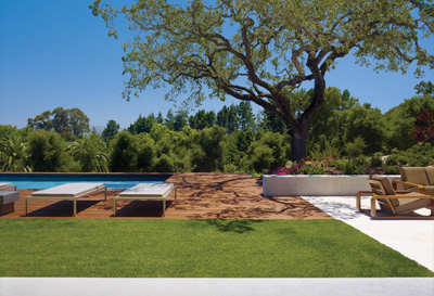 OZ House Swatt Miers