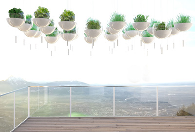 Skyfarm Manuel Dreesmann