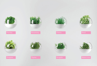 Skyfarm Manuel Dreesmann