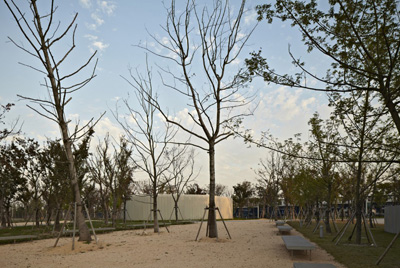 Spiral Gallery