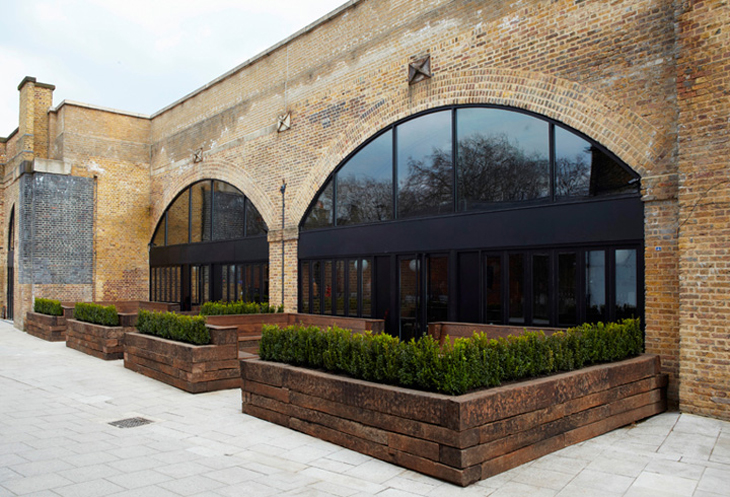 Beagle Fabled C-O Workshop