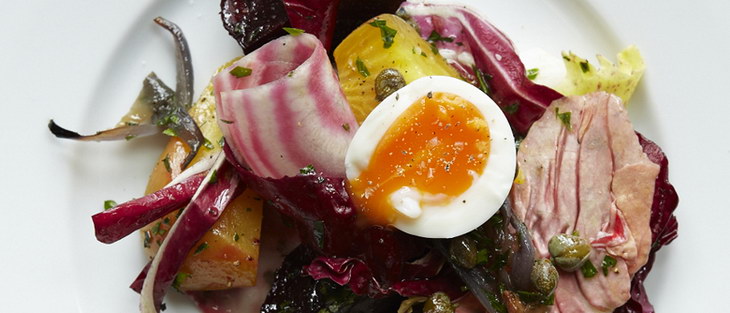 Beagle Fabled C-O Workshop