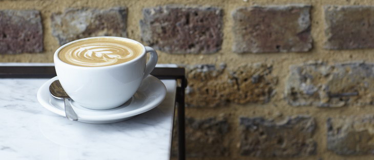 Beagle Fabled C-O Workshop