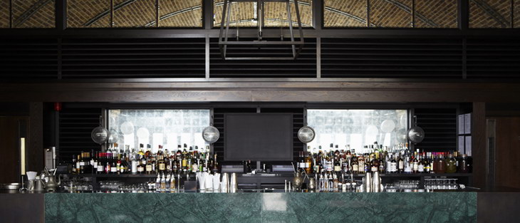 Beagle Fabled C-O Workshop